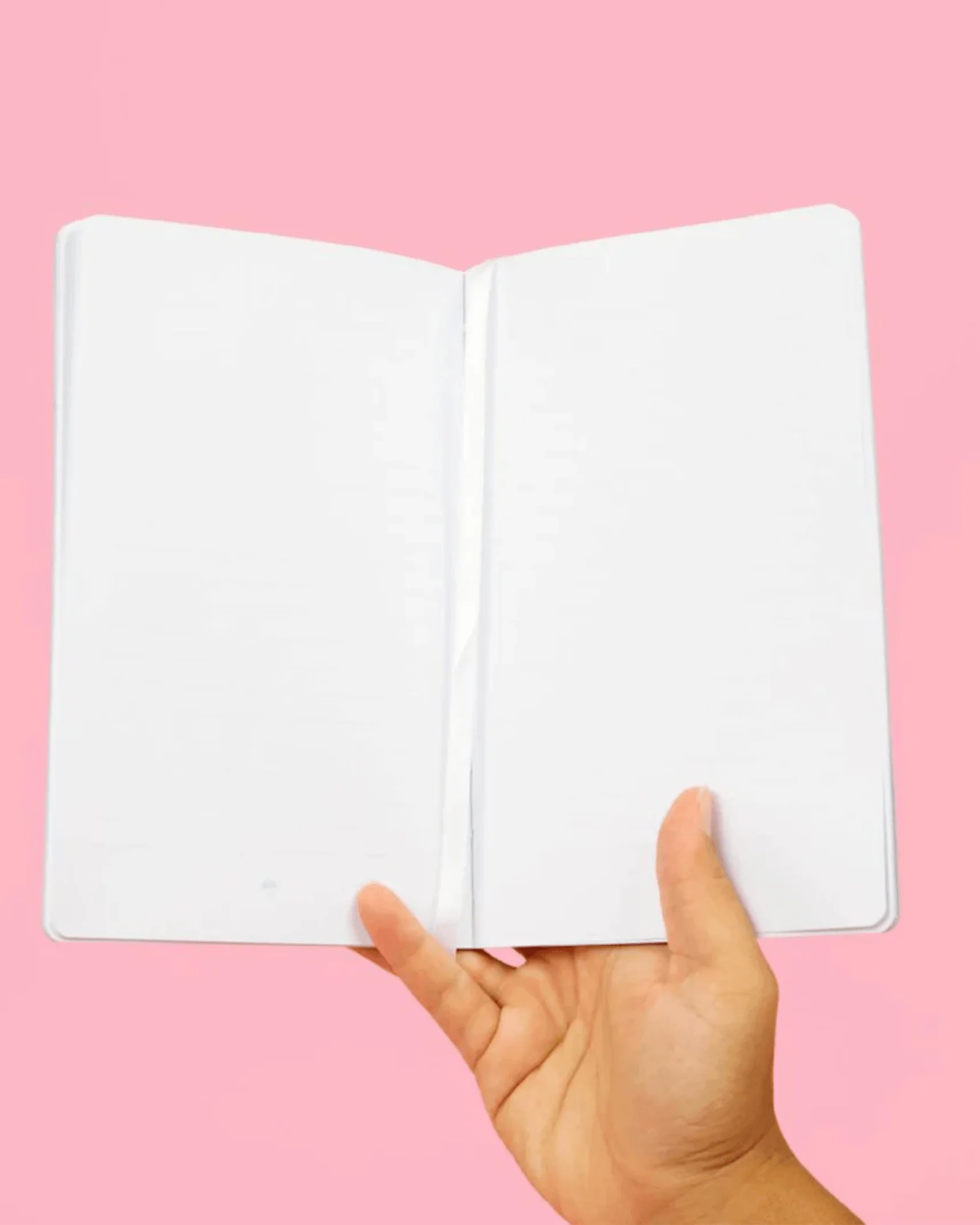 Journal - Image 3