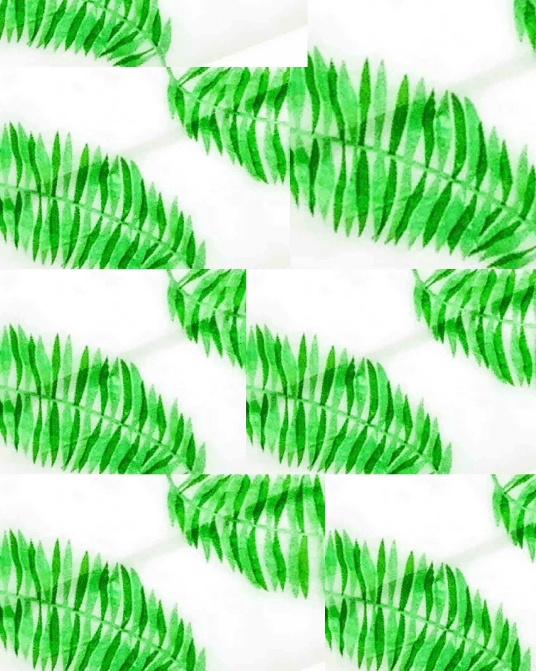 Tropical Rolling Paper Set - Image 5